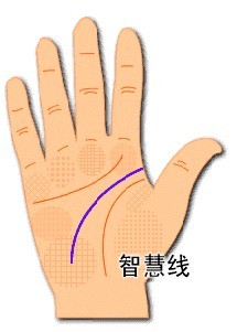 ͸ǻ۲Ÿ