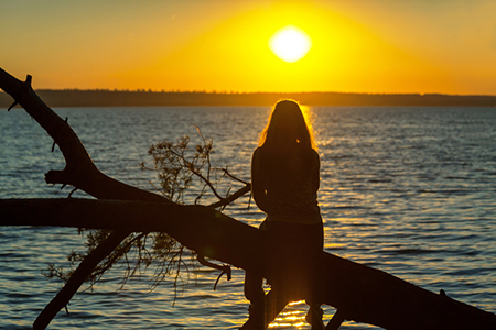 �칫��ɫ��,ְ��,ְ������