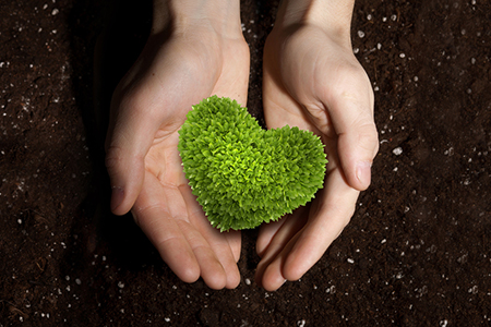 �Ҹ�,����,����