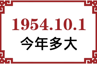 1954101ճ