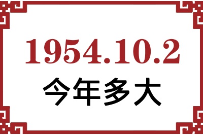 1954102ճ