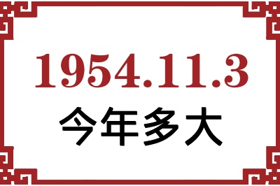 1954113ճ