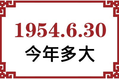 1954630ճ