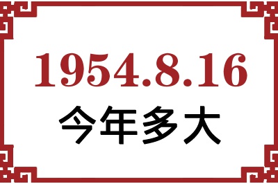 1954816ճ