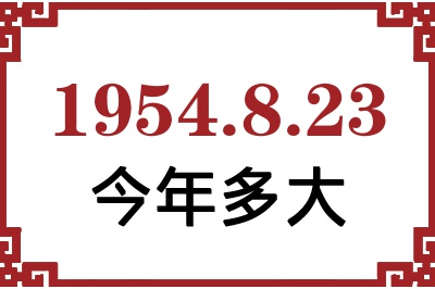 1954823ճ
