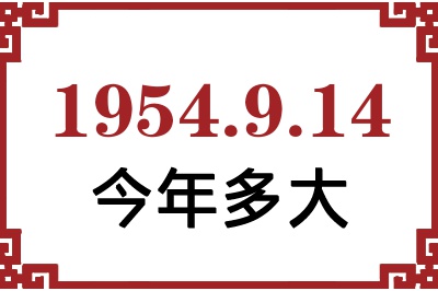 1954914ճ