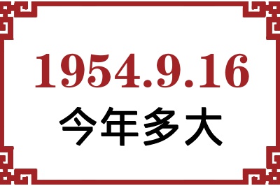 1954916ճ