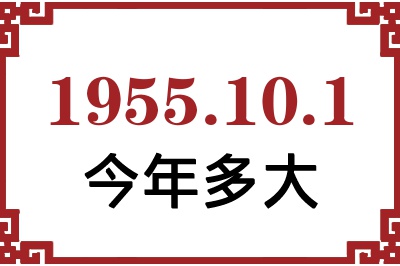 1955101ճ