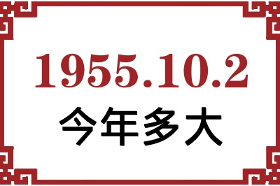 1955102ճ
