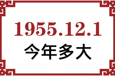 1955121ճ