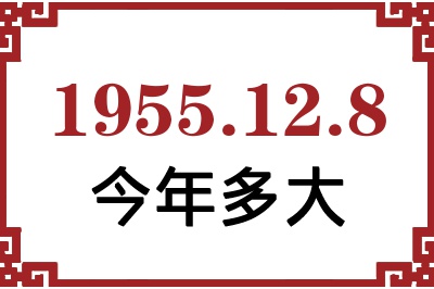 1955128ճ