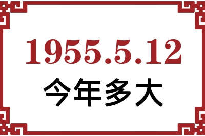 1955512ճ