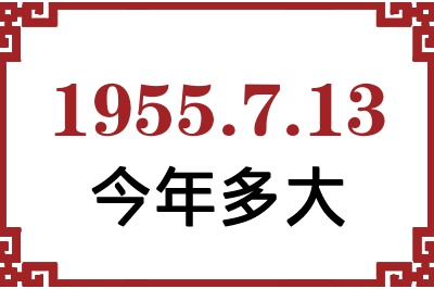 1955713ճ