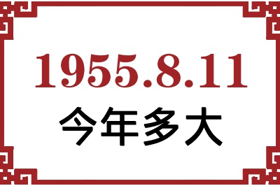 1955811ճ
