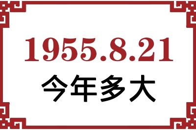 1955821ճ