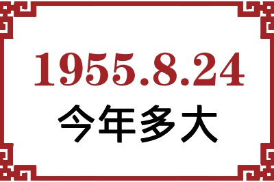 1955824ճ