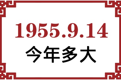 1955914ճ