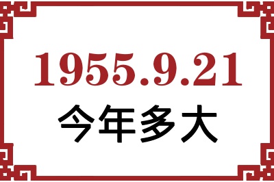 1955921ճ