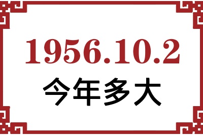 1956102ճ