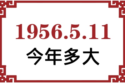 1956511ճ