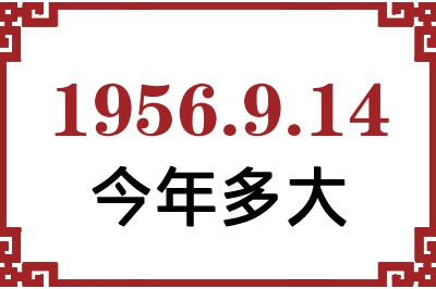 1956914ճ