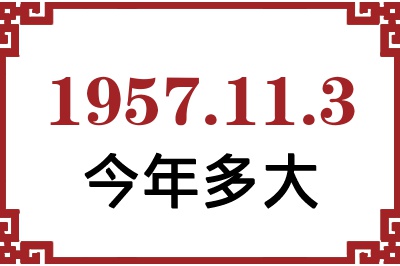 1957113ճ