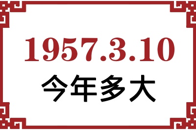 1957310ճ
