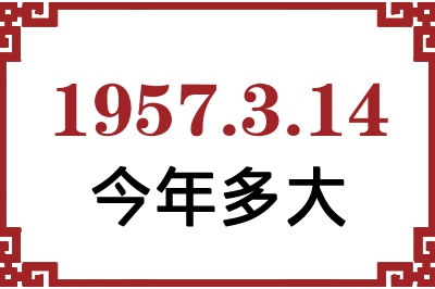 1957314ճ