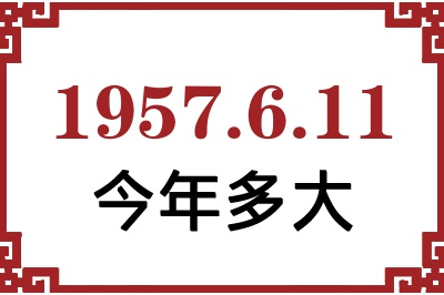 1957611ճ