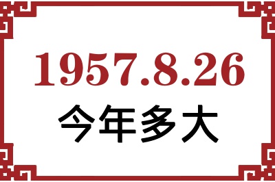 1957826ճ