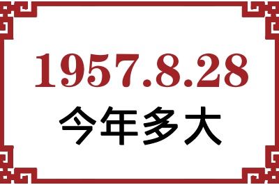 1957828ճ