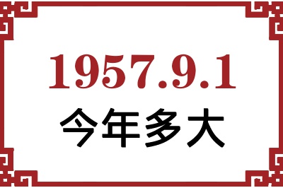 195791ճ