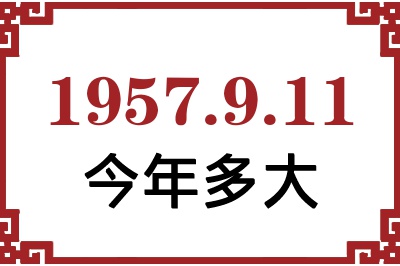 1957911ճ