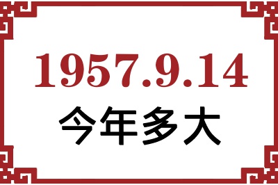 1957914ճ