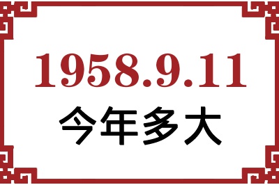 1958911ճ