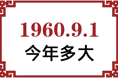 196091ճ