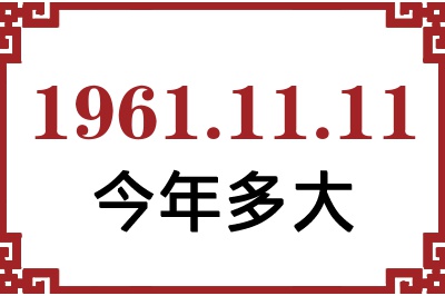 19611111ճ