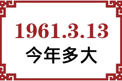 1961313ճ