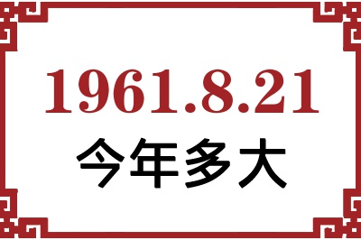 1961821ճ