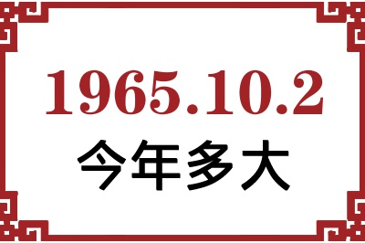 1965102ճ