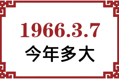 196637ճ