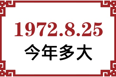 1972825ճ