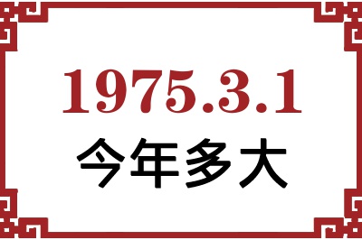 197531ճ