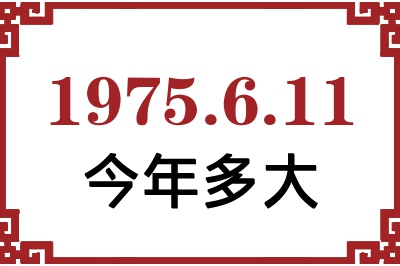 1975611ճ