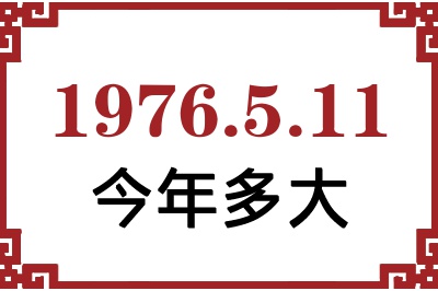 1976511ճ