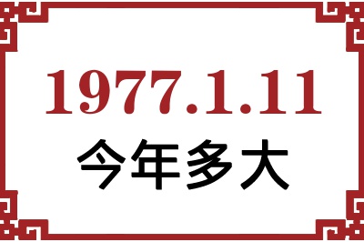 1977111ճ