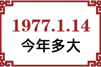 1977114ճ
