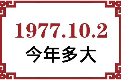 1977102ճ