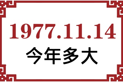 19771114ճ