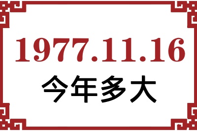 19771116ճ